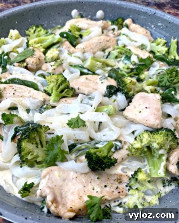Creamy Keto Chicken Alfredo with Shirataki Fettuccine 13 A full skillet view of Keto Chicken Alfredo with Shirataki Noodles, broccoli, and spinach, ready to be served.