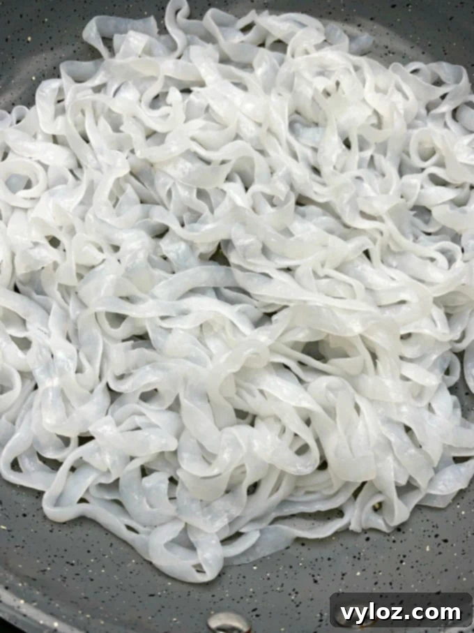 Creamy Keto Chicken Alfredo with Shirataki Fettuccine 6 Cooked shirataki miracle noodles, perfectly prepared and ready to absorb the flavors of the alfredo sauce.