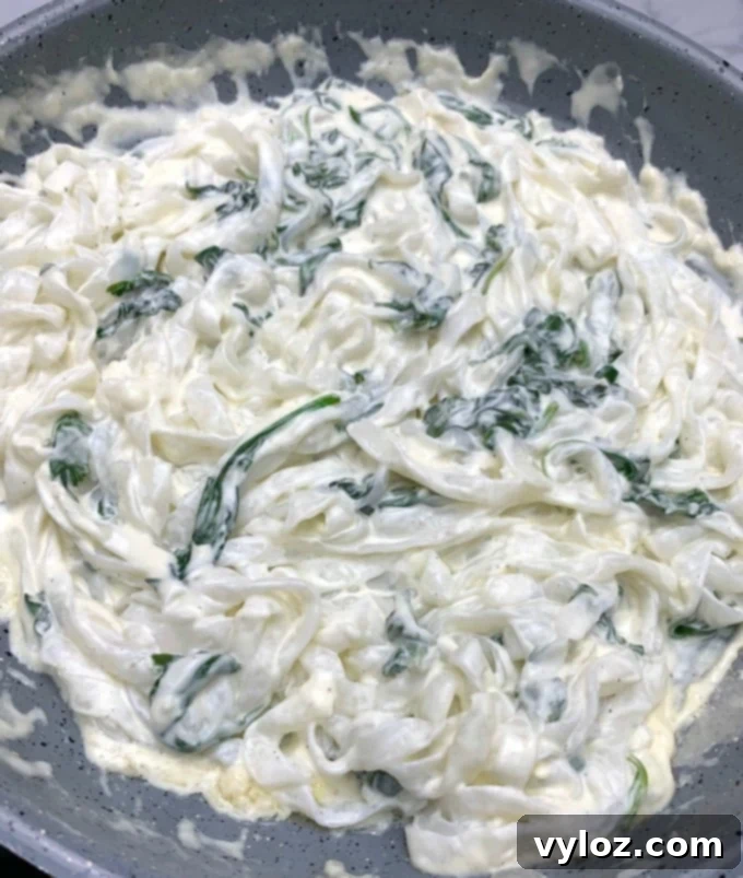 Creamy Keto Chicken Alfredo with Shirataki Fettuccine 7 A close-up of creamy keto chicken alfredo with broccoli, spinach, and shirataki noodles in a skillet, showcasing the rich texture.