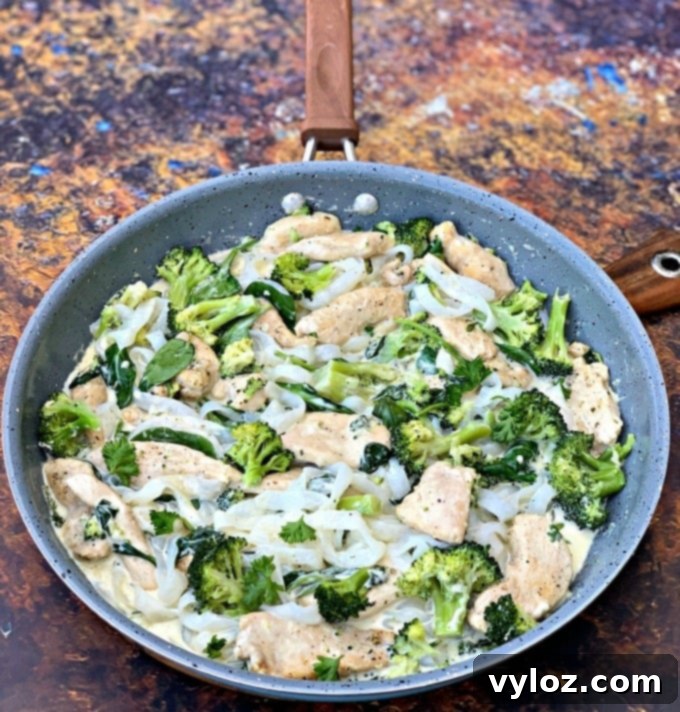Creamy Keto Chicken Alfredo with Shirataki Fettuccine 10 A hearty serving of keto chicken alfredo with broccoli and spinach, demonstrating the dish's appealing presentation.