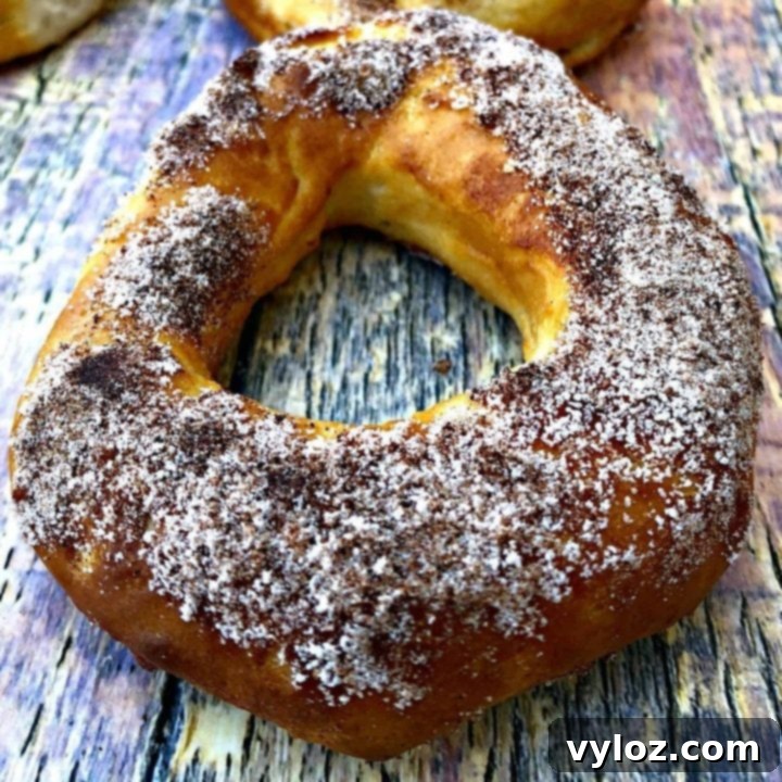 14 Quick Air Fryer Breakfasts for Busy Mornings 15 Air Fryer Cinnamon Sugar Donuts