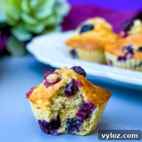 14 Quick Air Fryer Breakfasts for Busy Mornings 9 Air Fryer Blueberry Muffins (Breakfast or Dessert)