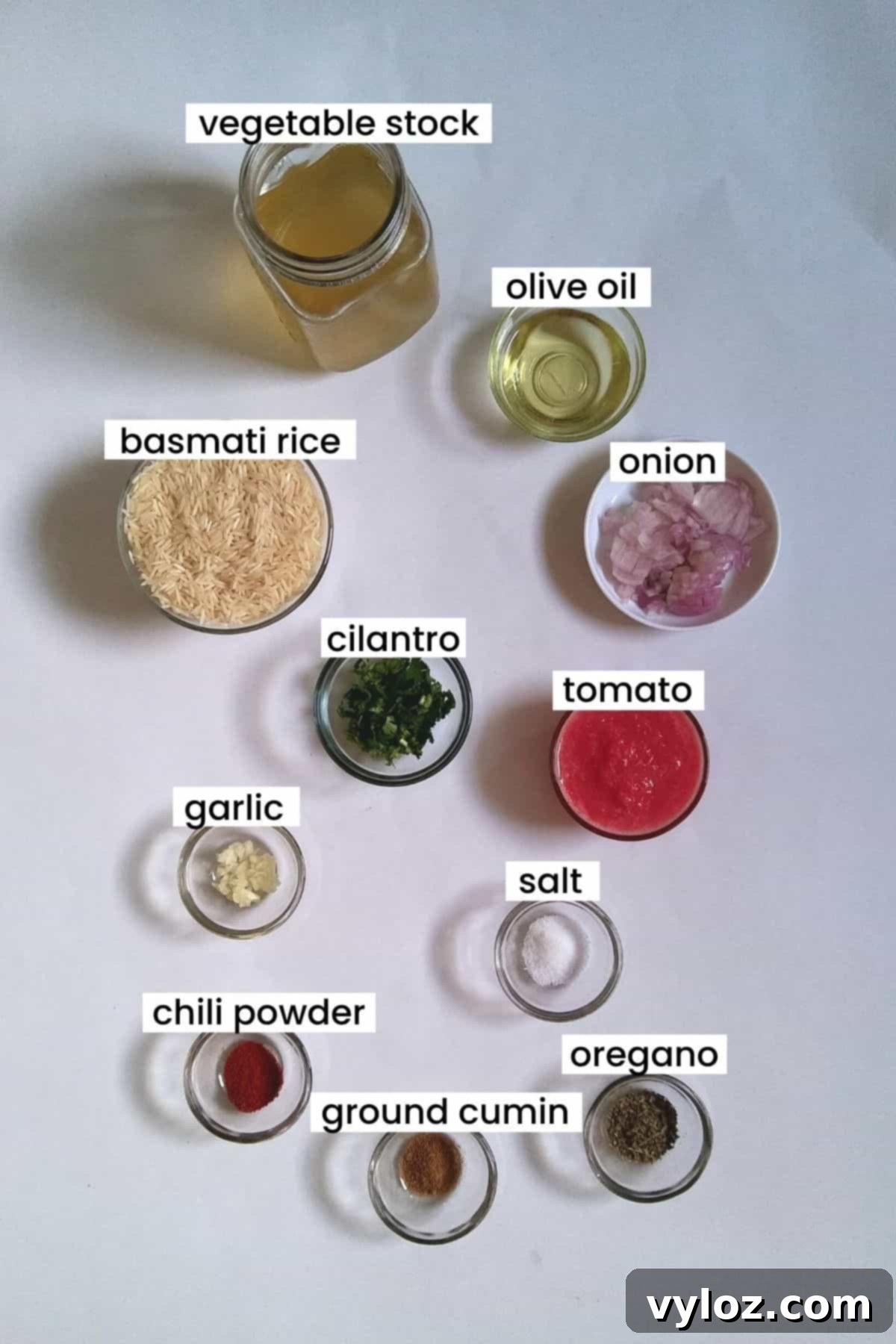 An organized display of 11 fresh and colorful ingredients on a white background, ready for making Spanish rice.