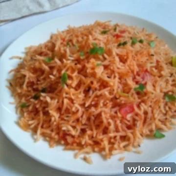 Image showing Spanish rice served on a white plate.