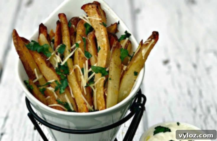 Ultimate Air Fryer Potato Recipes 9 Air Fryer Parmesan Truffle Oil Fries