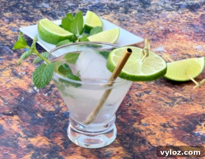 Guilt-Free Keto Mojito 2 keto low carb mojito drink cocktail in a glass with fresh mint and fresh lime