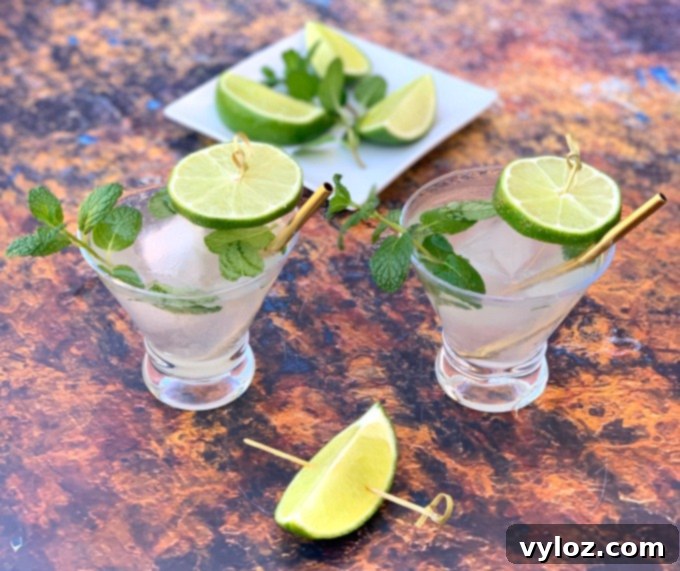 Guilt-Free Keto Mojito 6 2 keto low carb mojito drink cocktails in glasses with fresh mint and fresh lime
