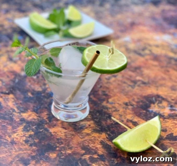Guilt-Free Keto Mojito 7 keto low carb mojito drink cocktail in a glass with fresh mint and fresh lime on a dark background