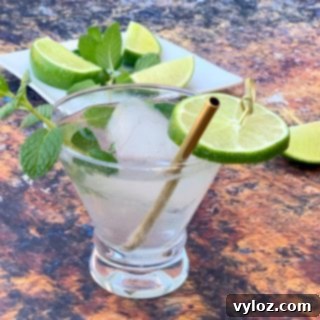 Guilt-Free Keto Mojito 9 keto low carb mojito drink cocktail in a glass with fresh mint and fresh lime