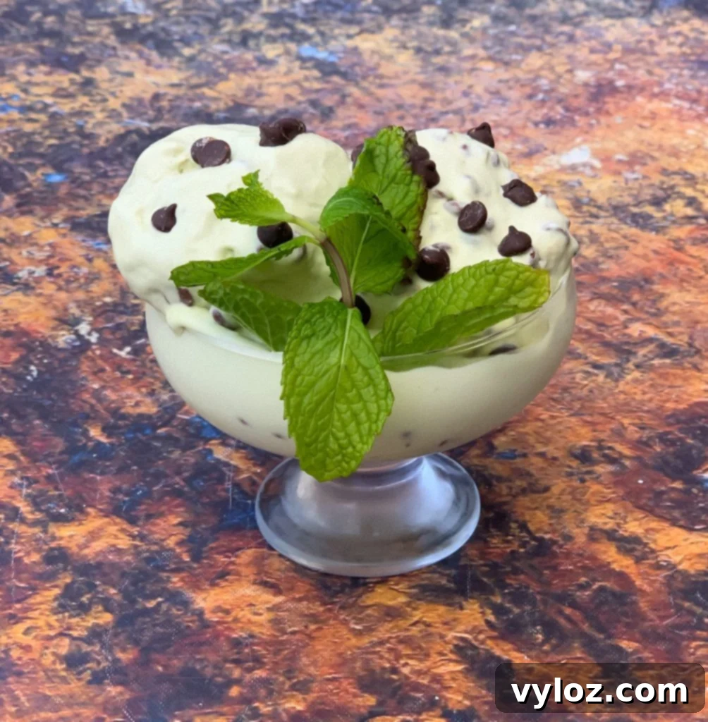 Delicious keto low carb mint chocolate ice cream in a glass bowl with sugar-free chocolate chips