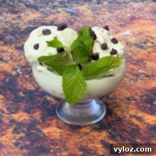 keto low carb mint chocolate ice cream in a glass bowl with chocolate chips