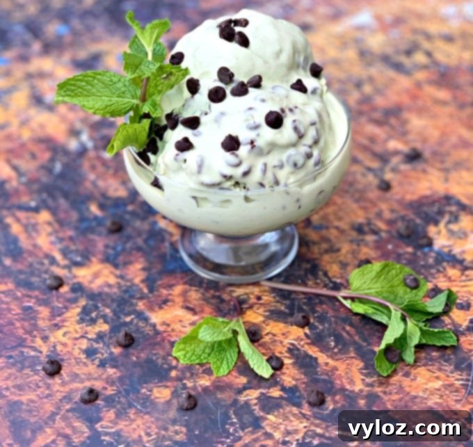 Scoops of keto low carb mint chocolate ice cream in a glass bowl, garnished with extra sugar-free chocolate chips