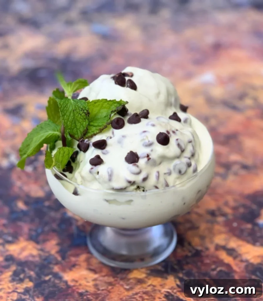 Close-up of creamy keto low carb mint chocolate ice cream with chocolate chips in a glass bowl