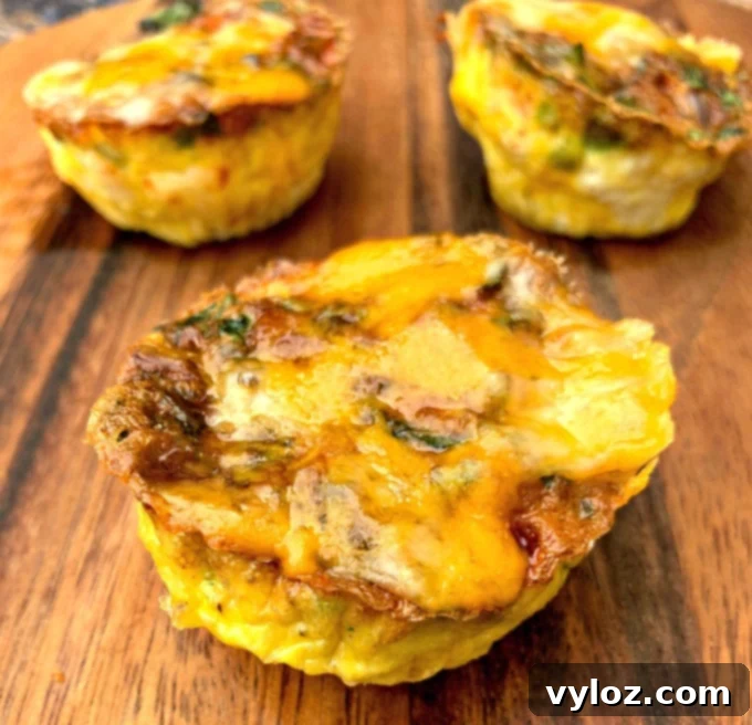 Air Fryer Egg Bites cups, keto and low-carb, with perfectly melted cheese on top and crispy bacon, served on a brown plate.