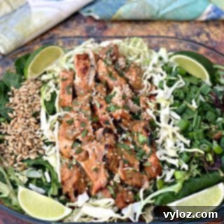 A vibrant Panera-style Thai chicken salad with grilled chicken and peanut dressing