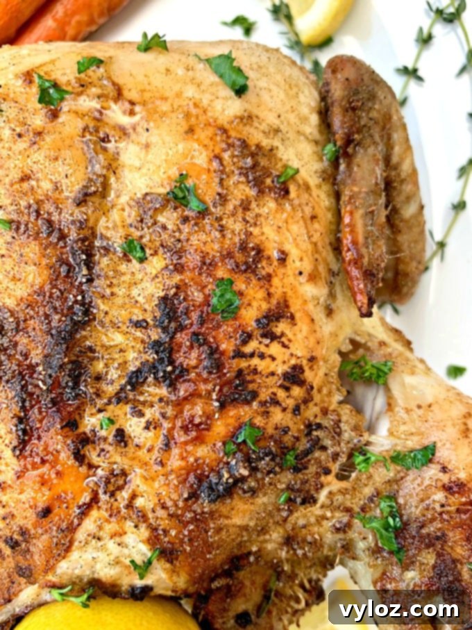 Effortlessly Crispy Air Fryer Whole Chicken 7 air fryer whole chicken on a white plate