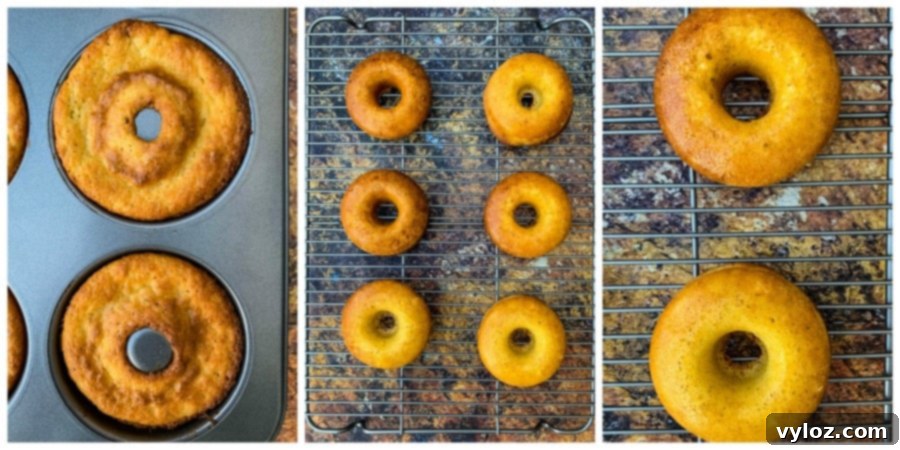 freshly baked keto low carb donuts cooling in a donut pan and on a wire rack