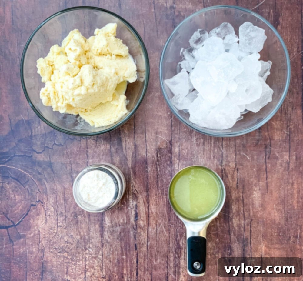 A flat lay image displaying key ingredients: creamy vanilla ice cream, sparkling ice cubes, powdered confectioner's sweetener, and a bowl of fresh lemon juice.