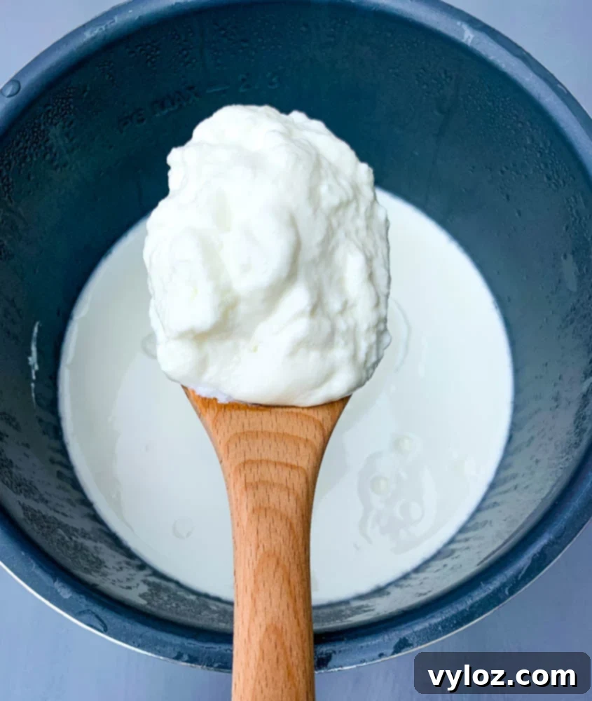 a wooden spoon with instant pot homemade yogurt