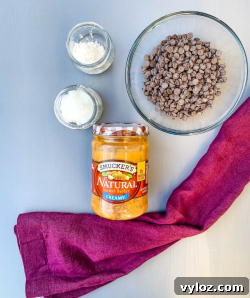 Ingredients for sugar-free peanut butter cups: natural peanut butter, sugar-free chocolate chips, coconut oil, and a confectioner's sweetener spread on a flat surface.