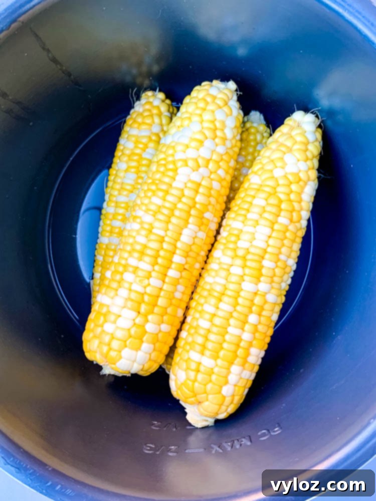 corn on the cob inside an Instant Pot, ready to be cooked.