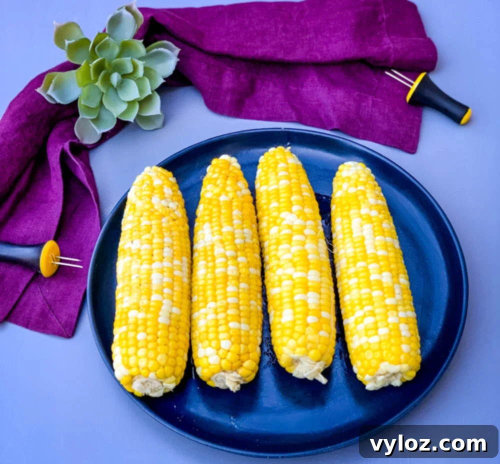 instant pot corn on the cob on a blue plate with a purple napkin, perfectly cooked.