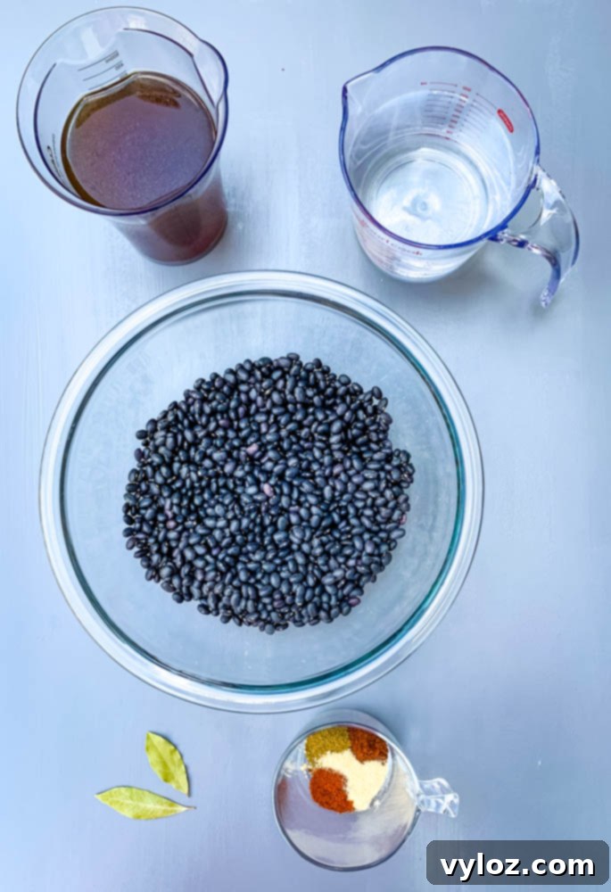rinsed black beans, 2 cups of water, 2 cups broth, and seasonings in a glass