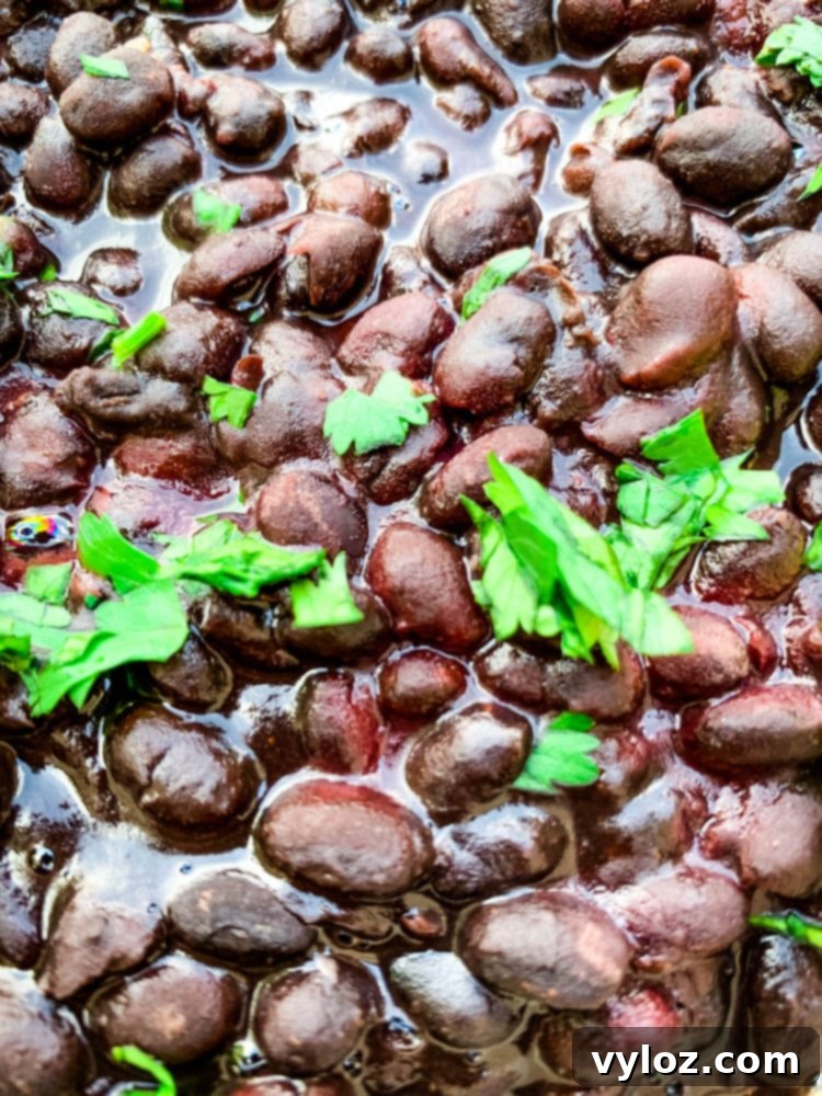 instant pot black beans in a blue bowl with cilantro and lime