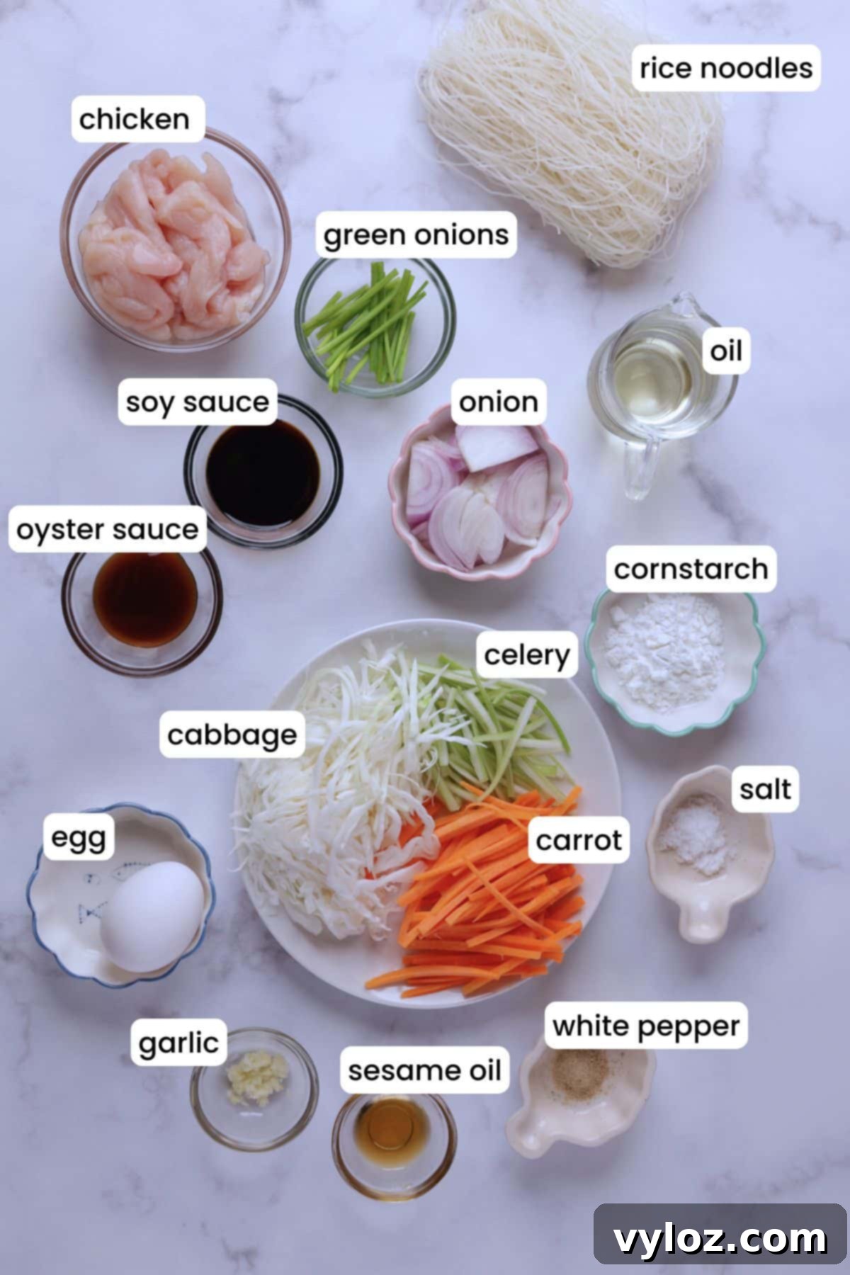 A vibrant selection of prepped ingredients for Chicken Mei Fun, neatly arranged on a white background. Components include thinly sliced chicken breast, julienned carrots, shredded cabbage, sliced celery, minced garlic, chopped green onions, bundles of thin rice vermicelli noodles, and various sauces like soy sauce and oyster sauce, along with a beaten egg.