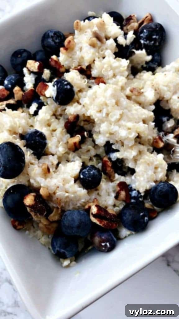 A beautifully composed 5-minute blueberry quinoa breakfast bowl, ready to be enjoyed.