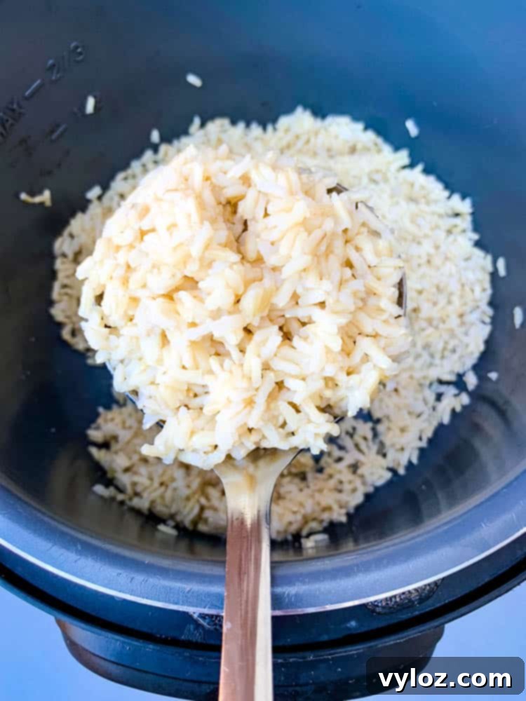 A spoonful of Instant Pot brown rice being lifted from the Instant Pot inner pot, showing its fluffy texture.