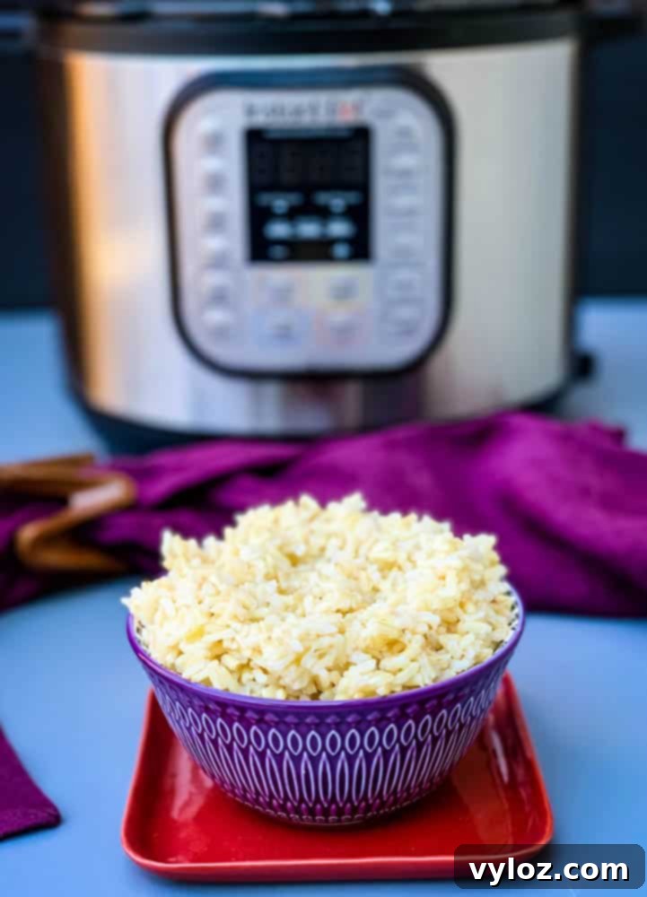 Instant Pot brown rice served in a vibrant purple bowl, ready to be enjoyed.