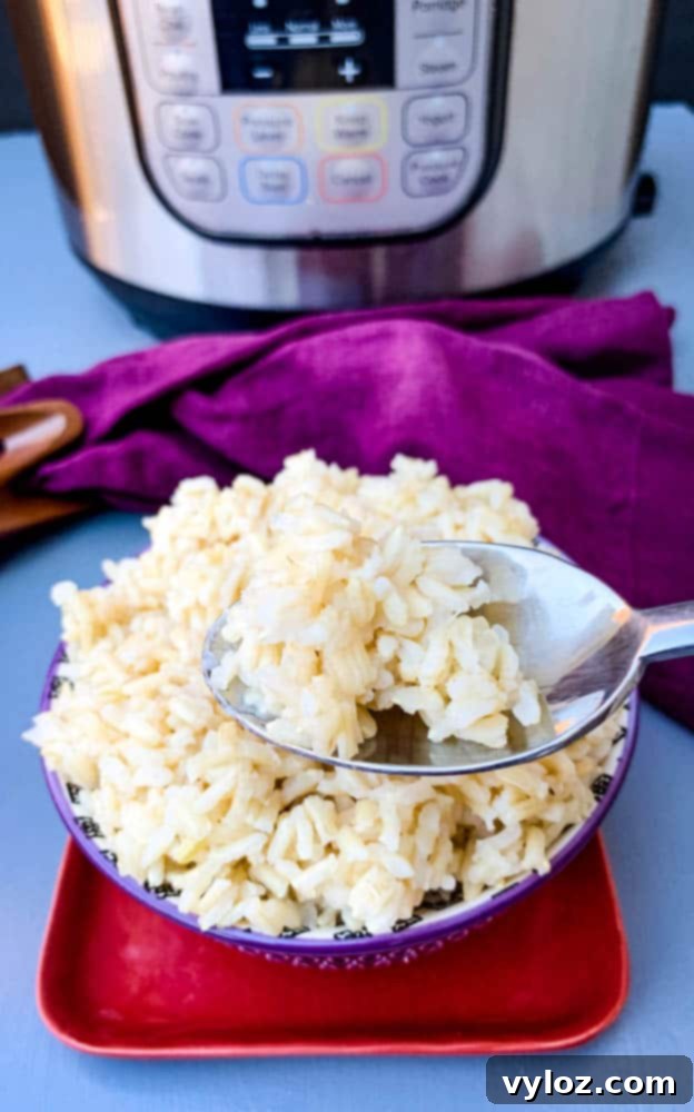 A spoonful of fluffy Instant Pot brown rice being served, highlighting its texture.