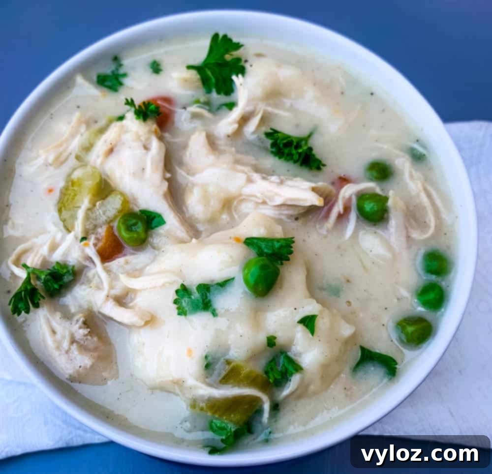 A comforting bowl of Instant Pot chicken and dumplings from scratch, ready to be enjoyed.
