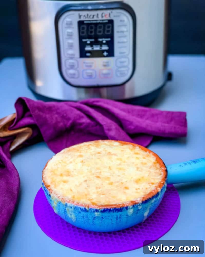 Effortless Instant Pot French Onion Soup 12 Instant Pot French onion soup in a bowl with cheese