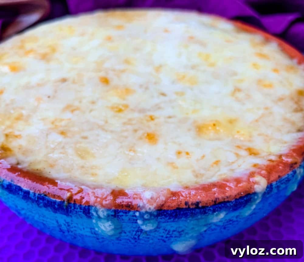 Effortless Instant Pot French Onion Soup 13 Instant Pot French onion soup in a bowl with cheese