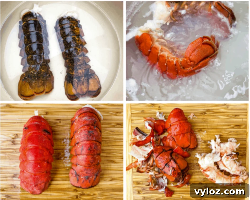 A vibrant collage showcasing the journey of lobster from raw tails to shelled meat, ready to be transformed into a luxurious bisque. Includes images of boiled lobsters, whole and segmented, and bowls of pristine lobster meat, emphasizing the freshness of ingredients.