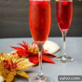 Crimson Mimosa 10 Beautiful Cranberry Mimosa in a glass, garnished with fresh cranberries