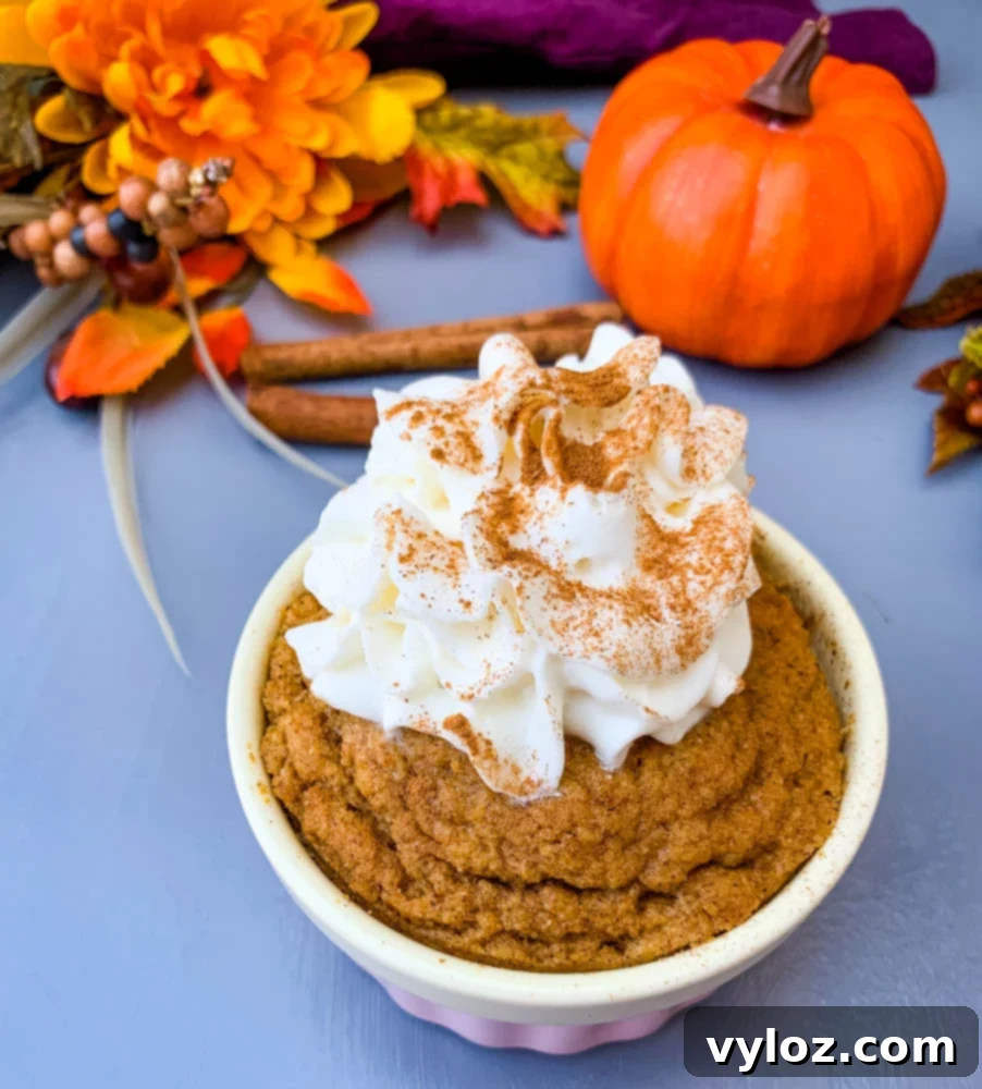 Cozy Pumpkin Spice Mug Bliss 6 keto low carb pumpkin mug cake in a pink ramekin with whipped cream