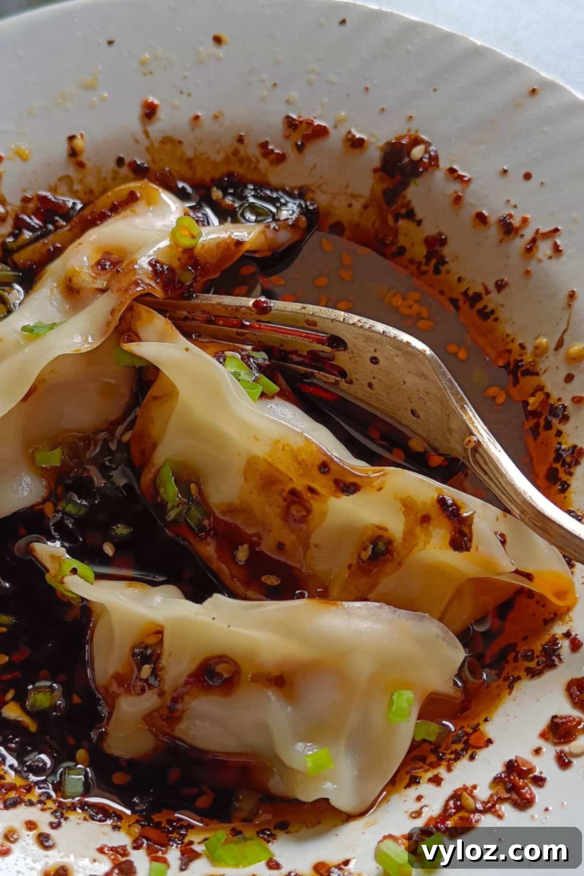The Ultimate Wet Sauce 6 Image showing a plate of steamed dumplings elegantly paired with a small white bowl of wet wet sauce, highlighting a perfect culinary match.