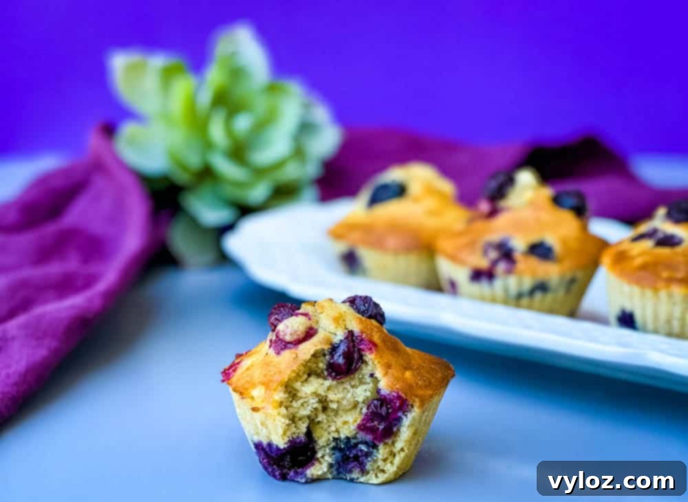 close up shot of an air fryer blueberry muffin with a bite taken out