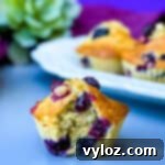 Air Fryer Blueberry Muffins