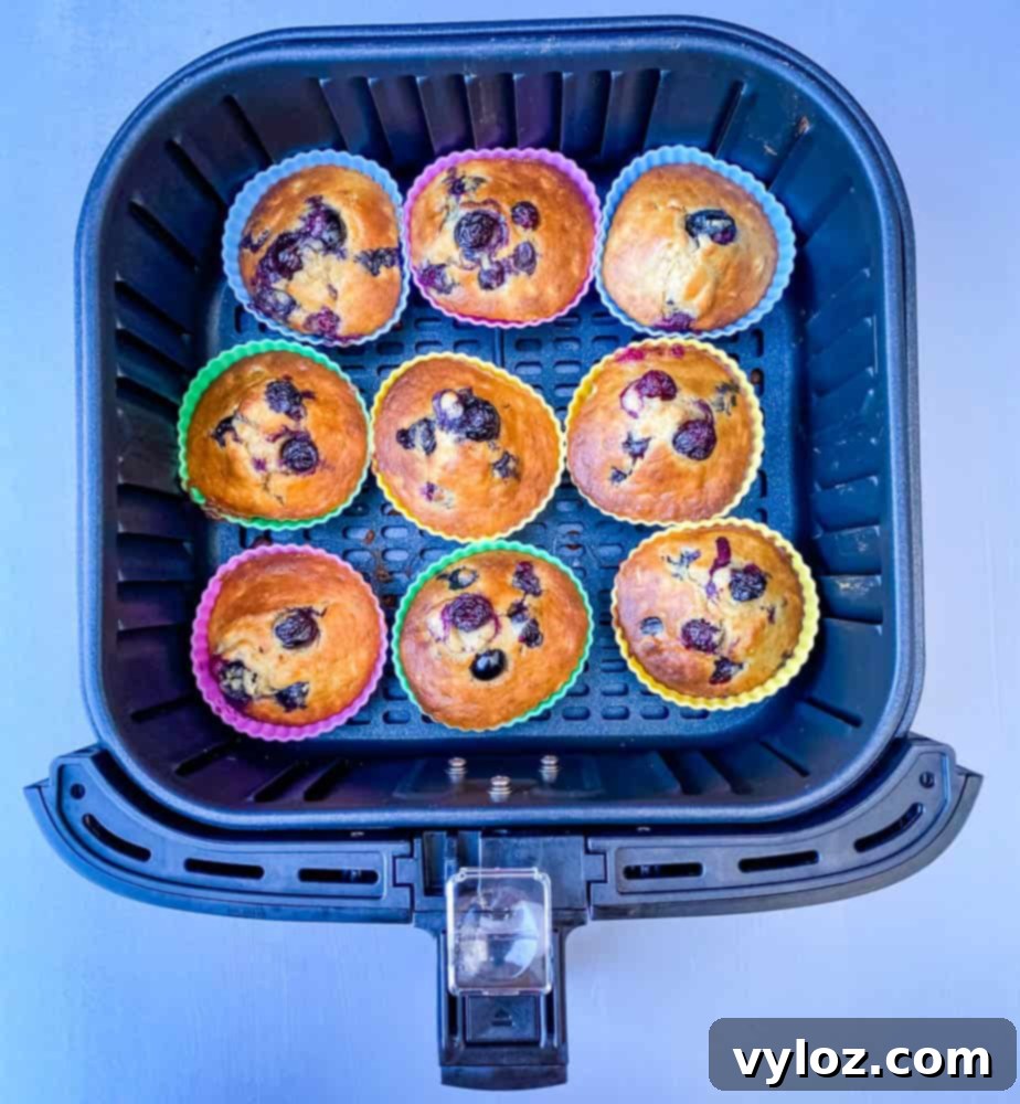 blueberry muffins in an air fryer