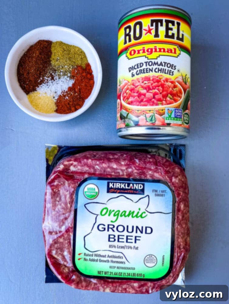 Ground beef, Rotel (diced tomatoes and green chiles), and homemade taco seasoning mixing together in a pot, ready for the next steps of the keto low-carb taco soup preparation.