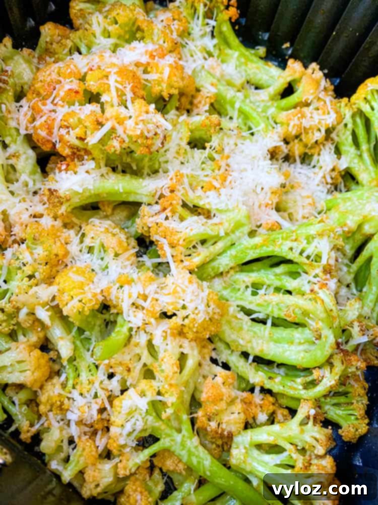 charred caulilini with parmesan cheese in an air fryer basket