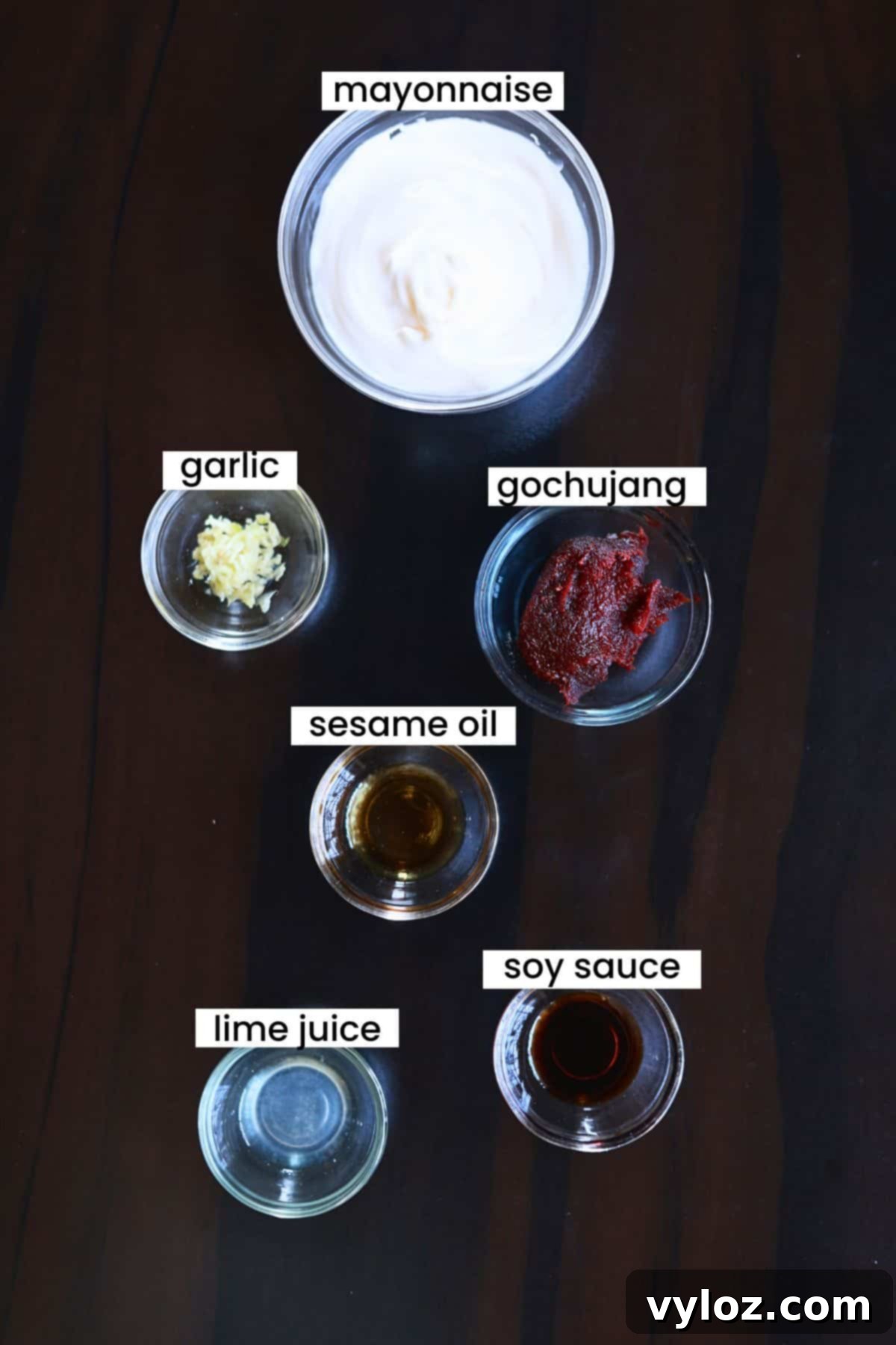 Deliciously Easy Korean Gochujang Aioli 3 Individual gochujang aioli ingredients neatly arranged on a dark background.