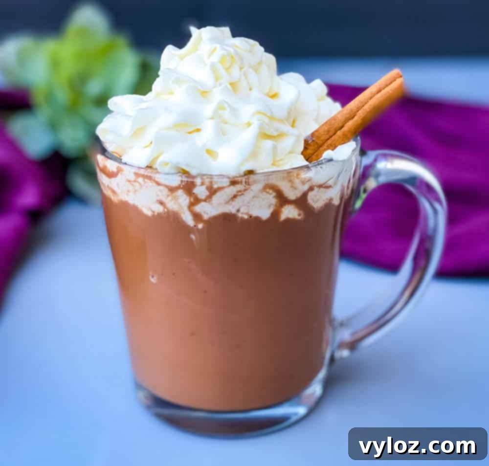keto low carb hot chocolate in a glass mug with whipped cream and cinnamon