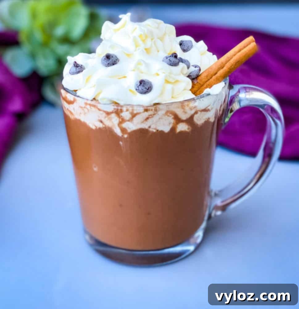 keto low carb hot chocolate in a glass mug with whipped cream and cinnamon and chocolate chips
