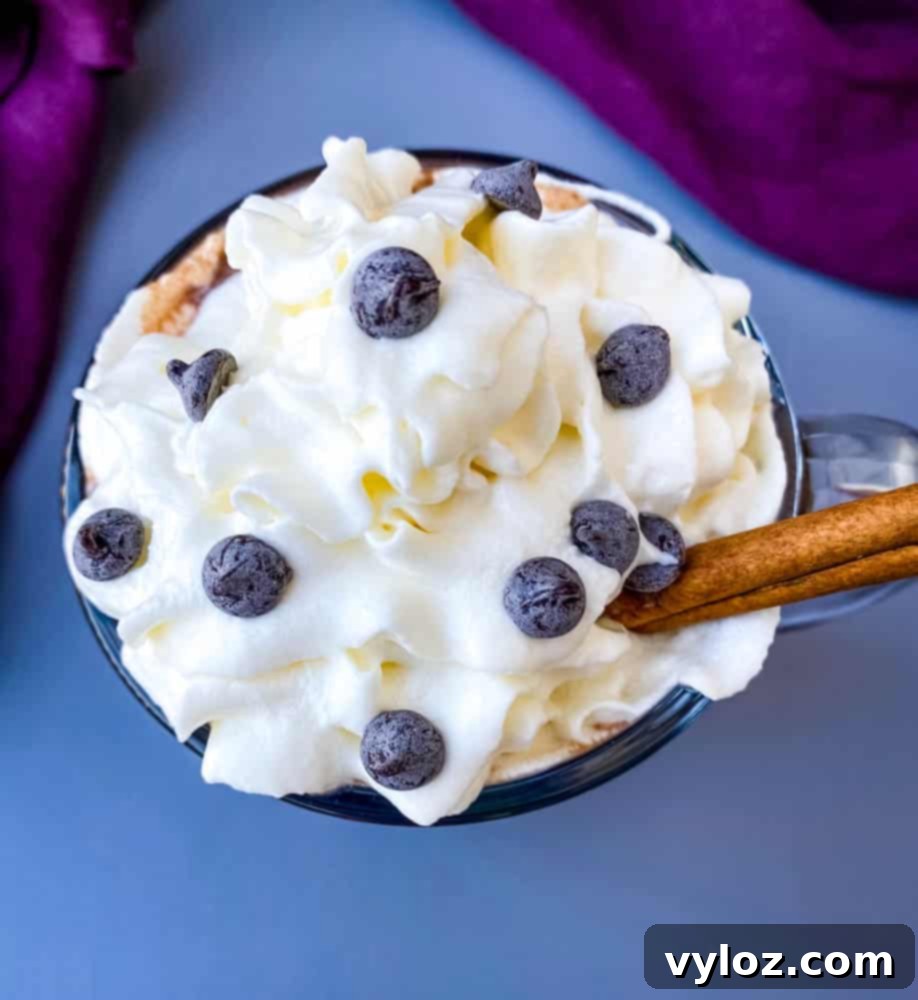 keto low carb hot chocolate in a glass mug with whipped cream and cinnamon and chocolate chips