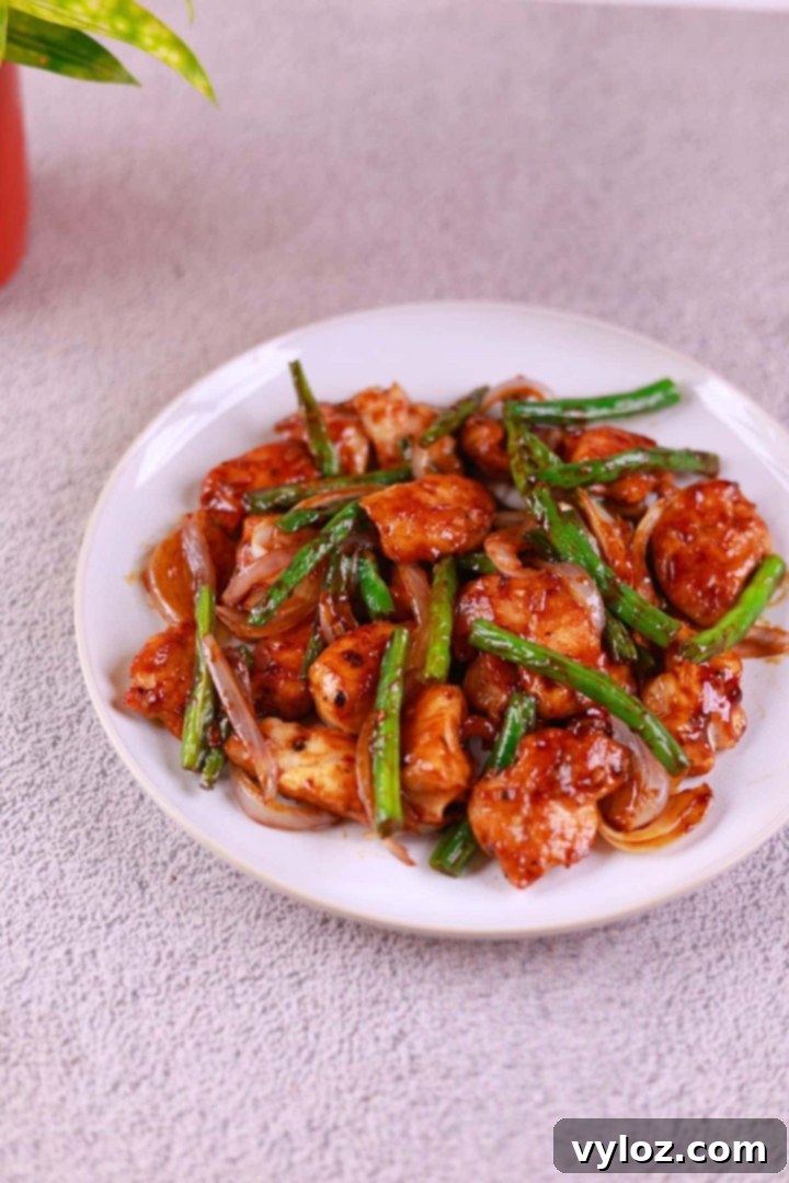 Effortless Chicken and Green Bean Stir Fry 2 Side angle view of chicken and green bean stir fry served on a plate.